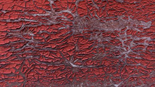 Free stock photo of decay, decayed wood, decaying Stock Photo