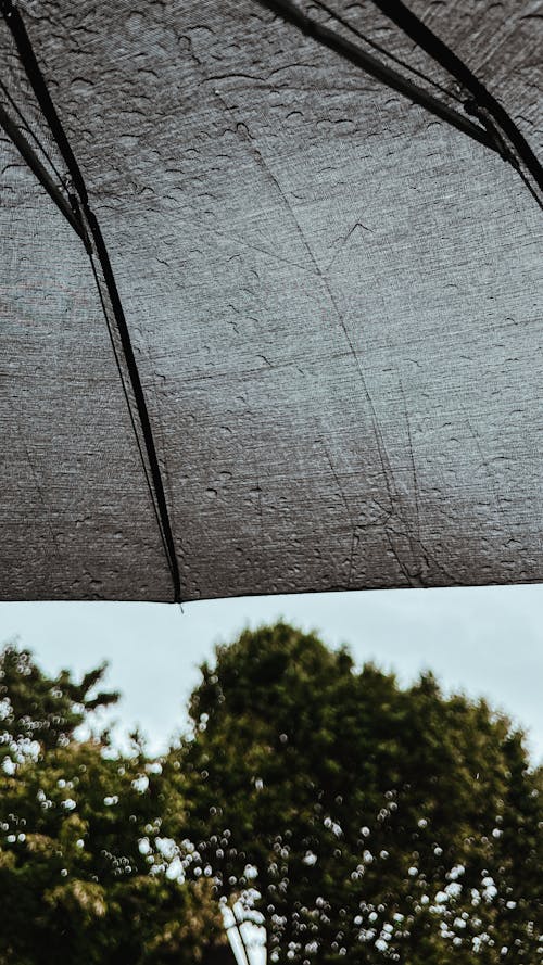 Základová fotografie zdarma na téma abstraktní, déšť, deštník