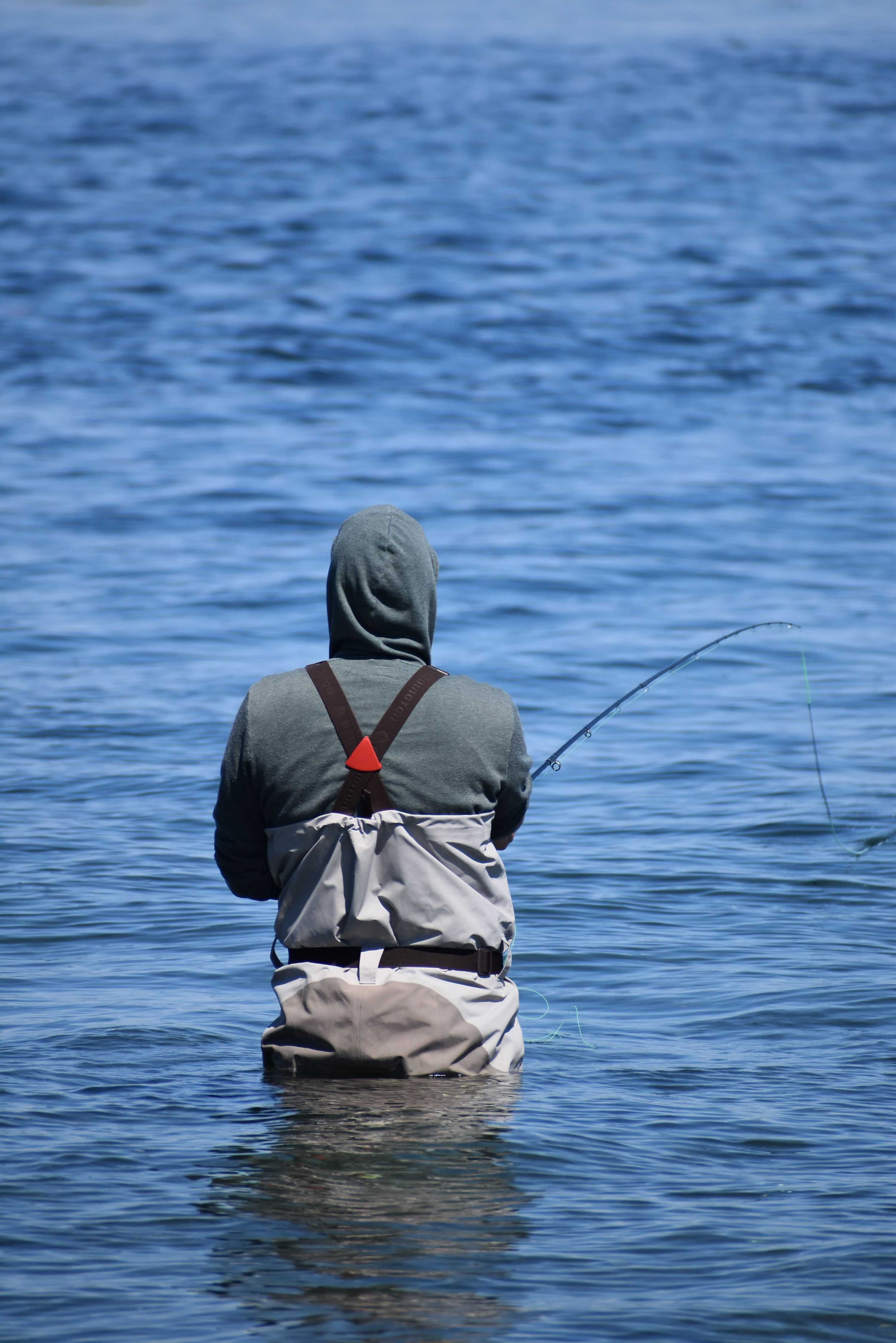 A lone fisherman in waders casts his line into calm waters. Perfect leisure activity.