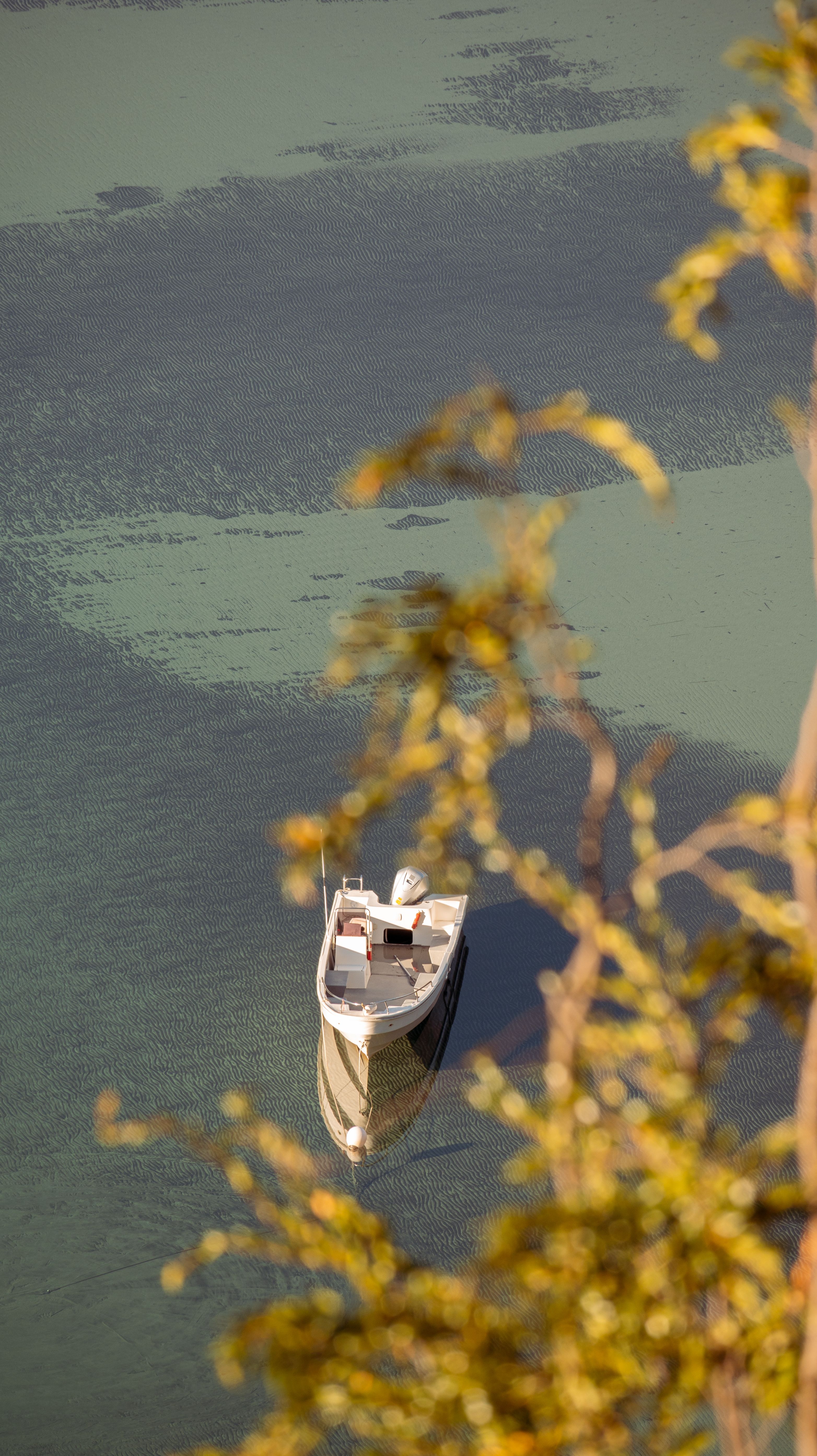 Aerial View of a Boat on a Body of Water · Free Stock Photo