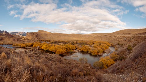 Landscape of Mountains and Autumnal Trees in a Body of Water in a Valley 