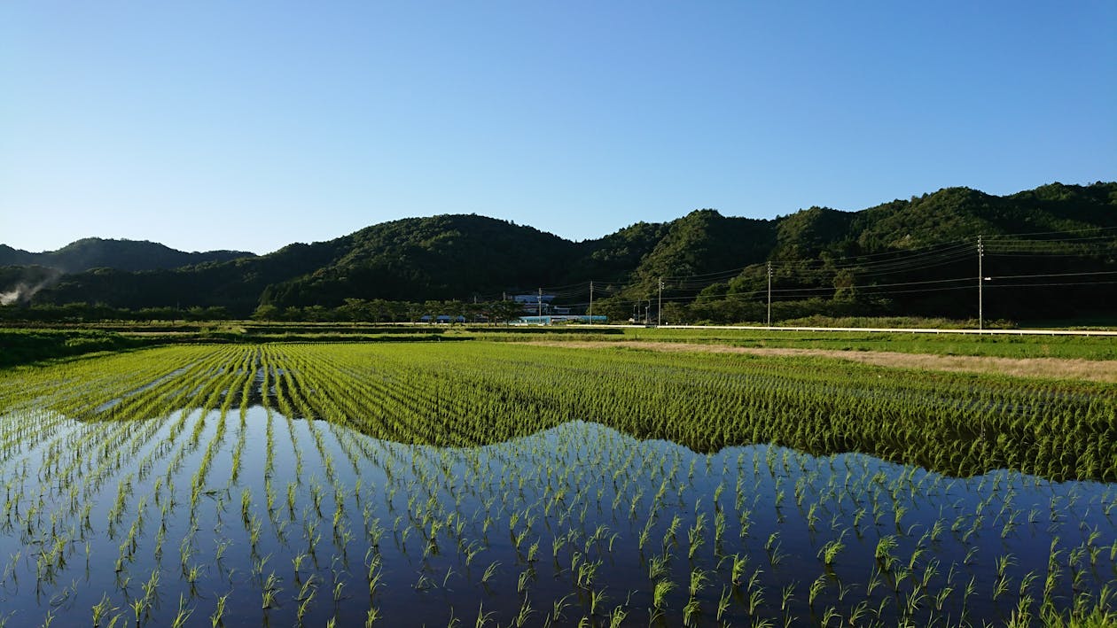 日本人 村の無料の写真素材