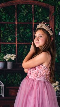 Adorable girl dressed as a princess in a pink gown with a crown, standing indoors.