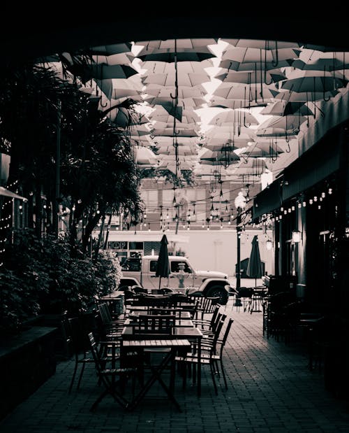 Fotos de stock gratuitas de blanco y negro, café, calles de la ciudad