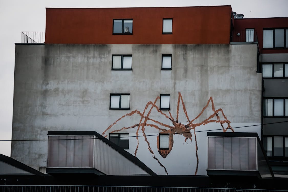 Brown Spider Painted on Gray Wall