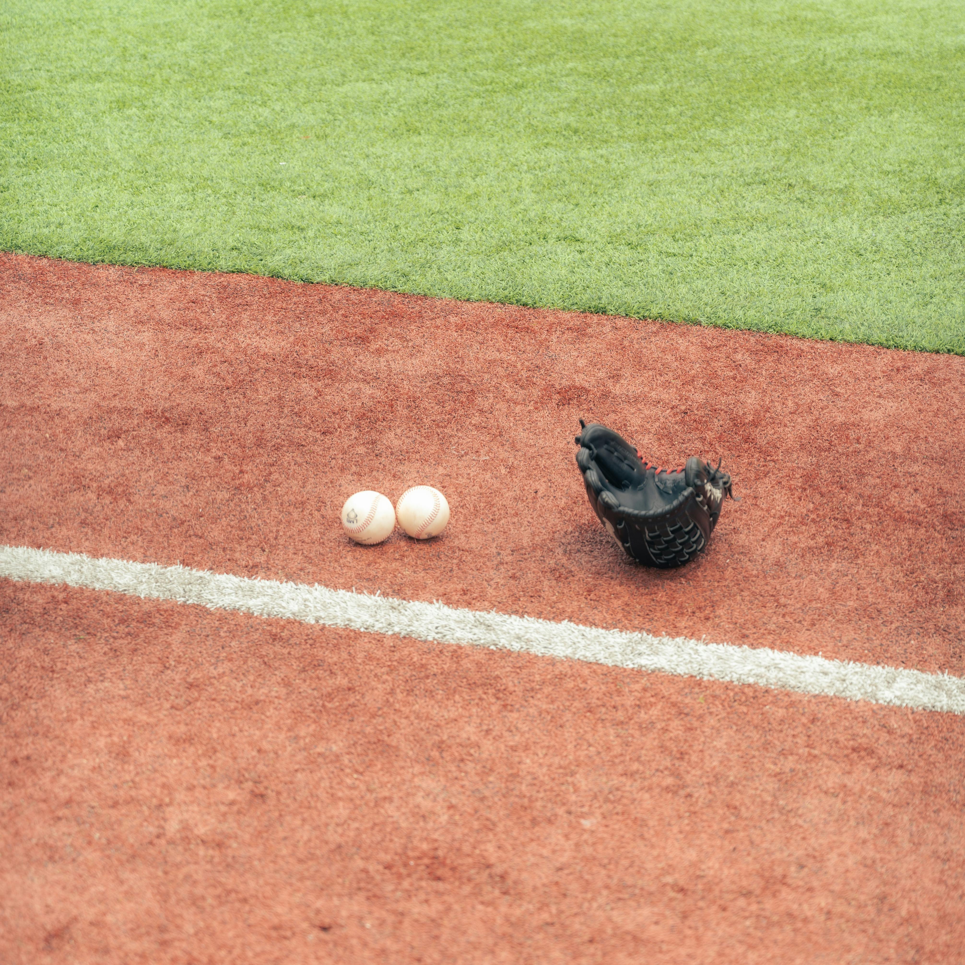 bat removal Long Beach