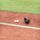 softball