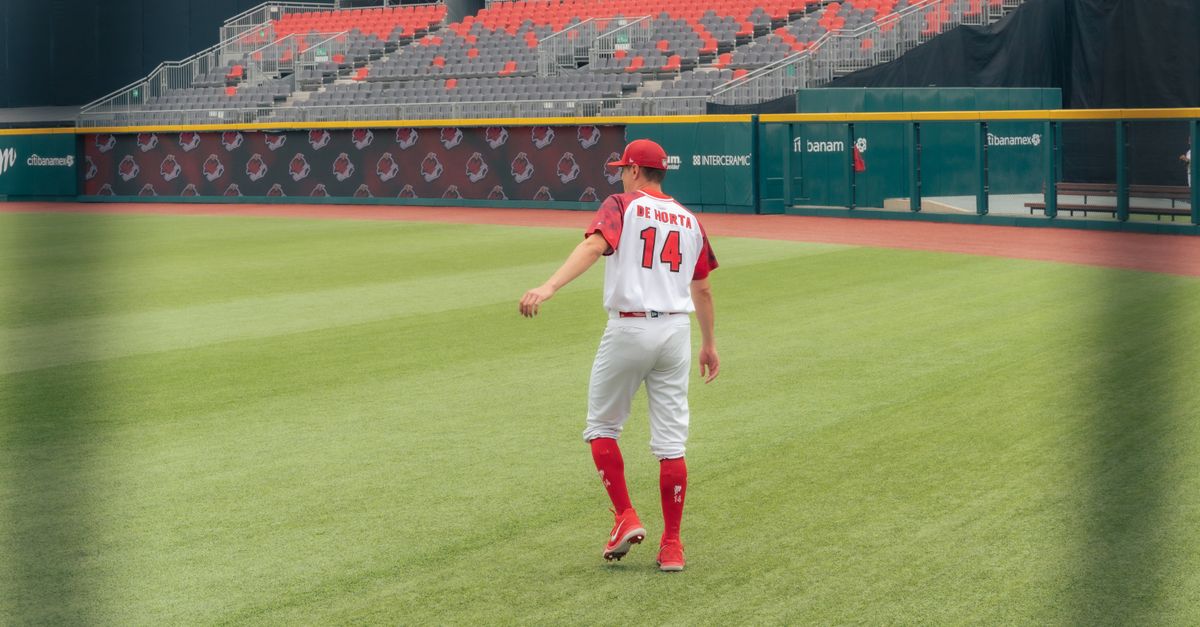 shohei ohtani