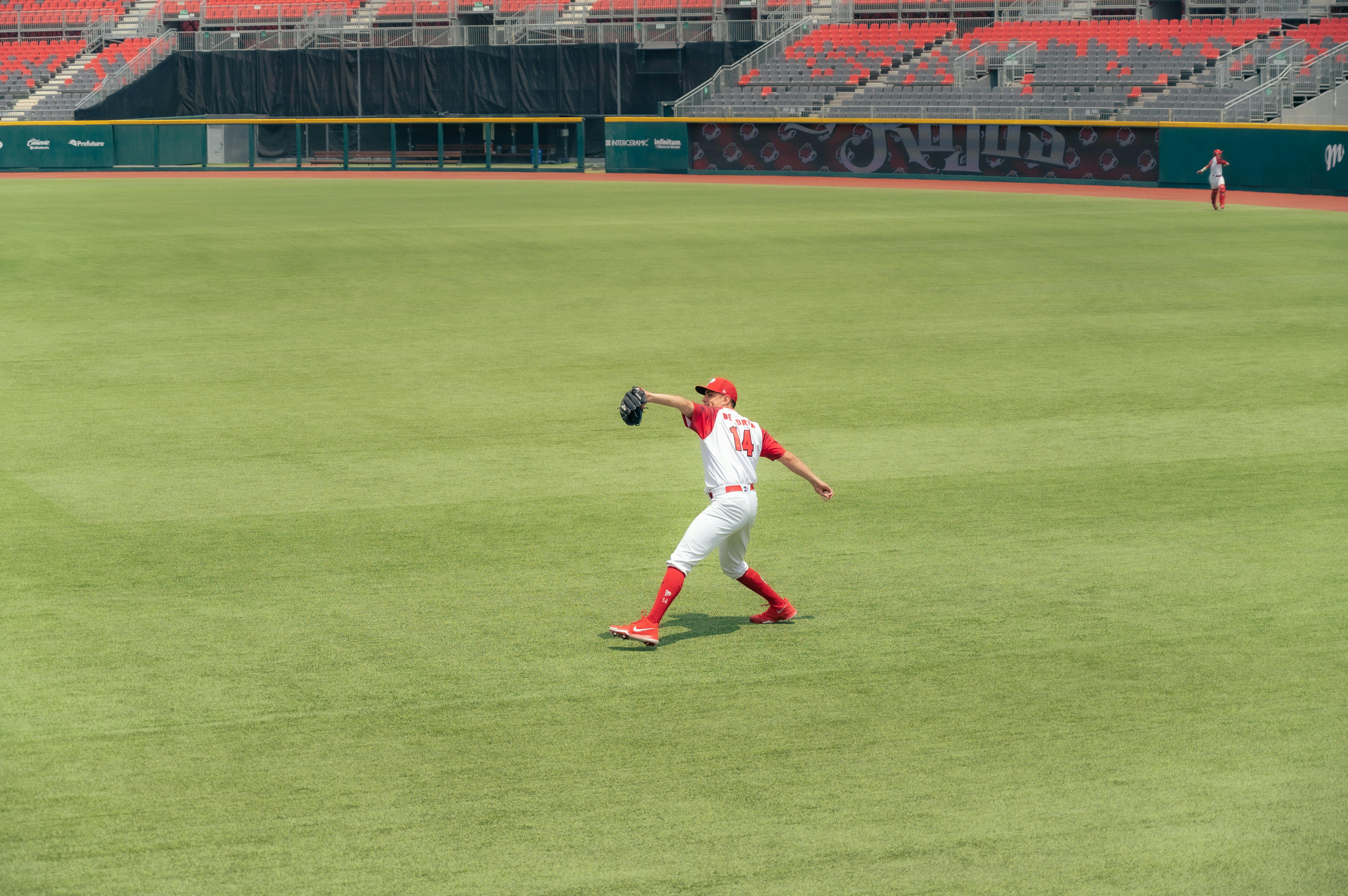 bat removal La Crescenta-Montrose