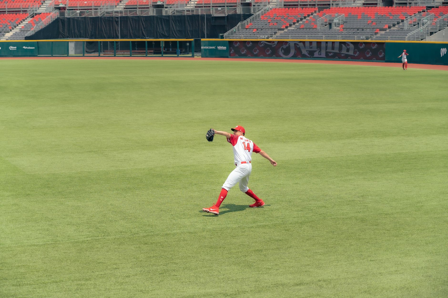 Athlete in action making a catch on green field in an empty stadium.