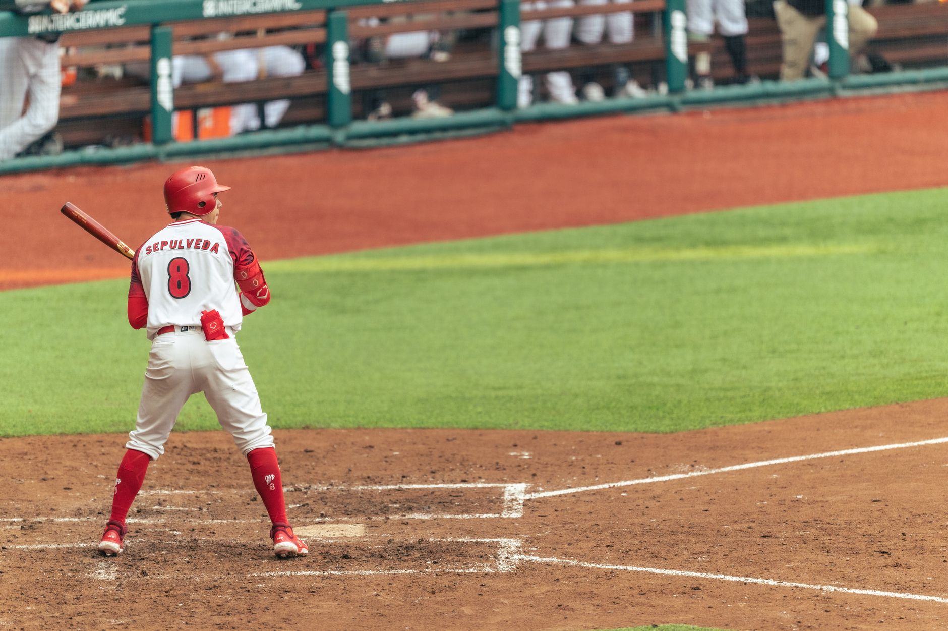 2026 MLB農場系統排名更新:新秀洞察與分析