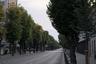 A peaceful urban street in Kaunas, Lithuania, lined with lush green trees under a calm sky.