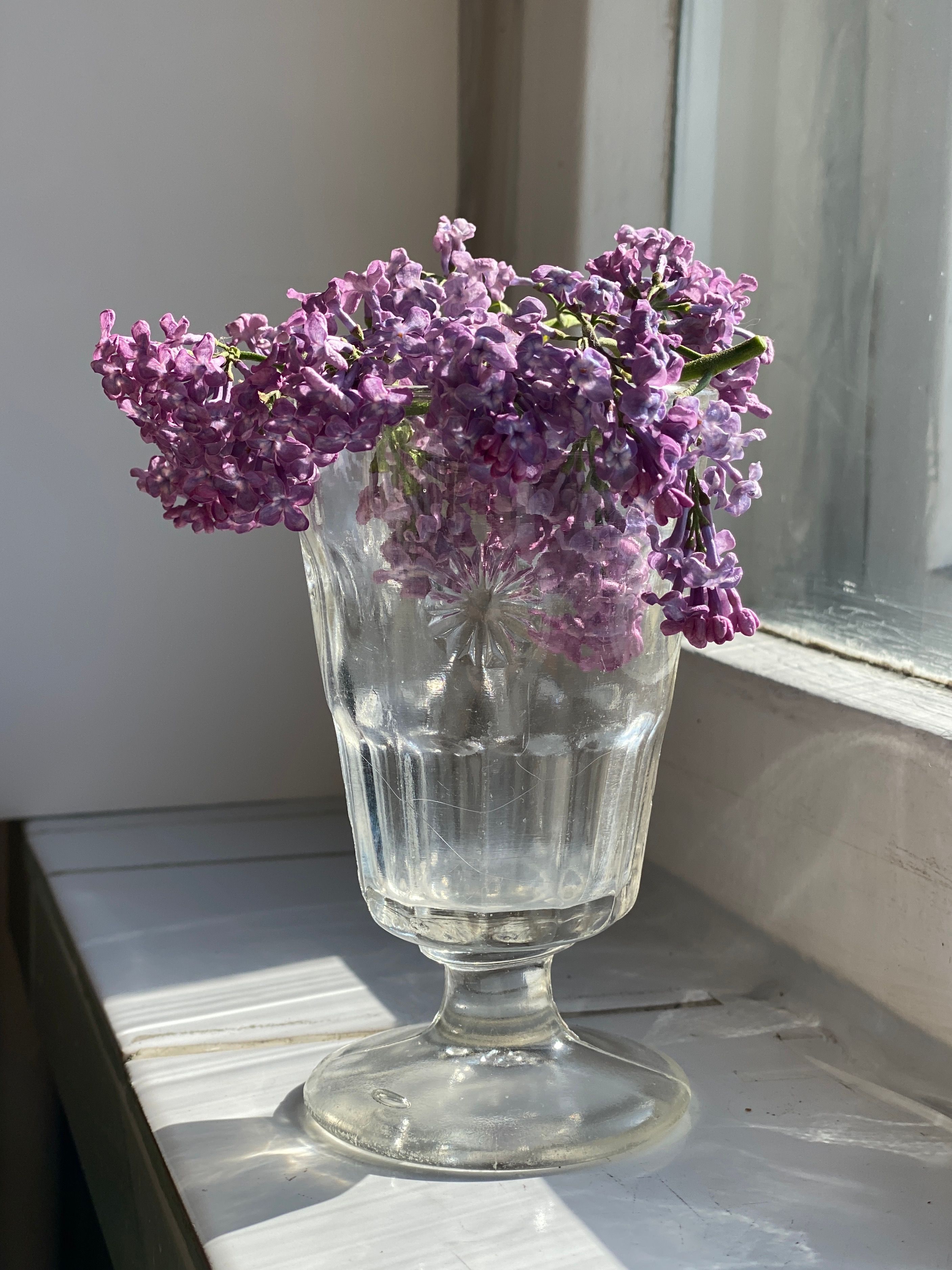 A vase with purple flowers sitting on a window sill · Free Stock Photo