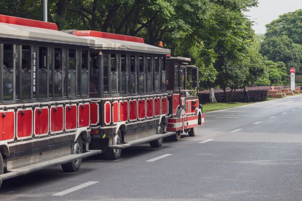 Ocean Park Tour