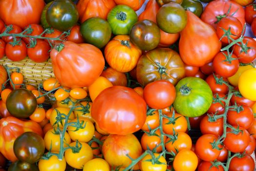 selectie van tomaten