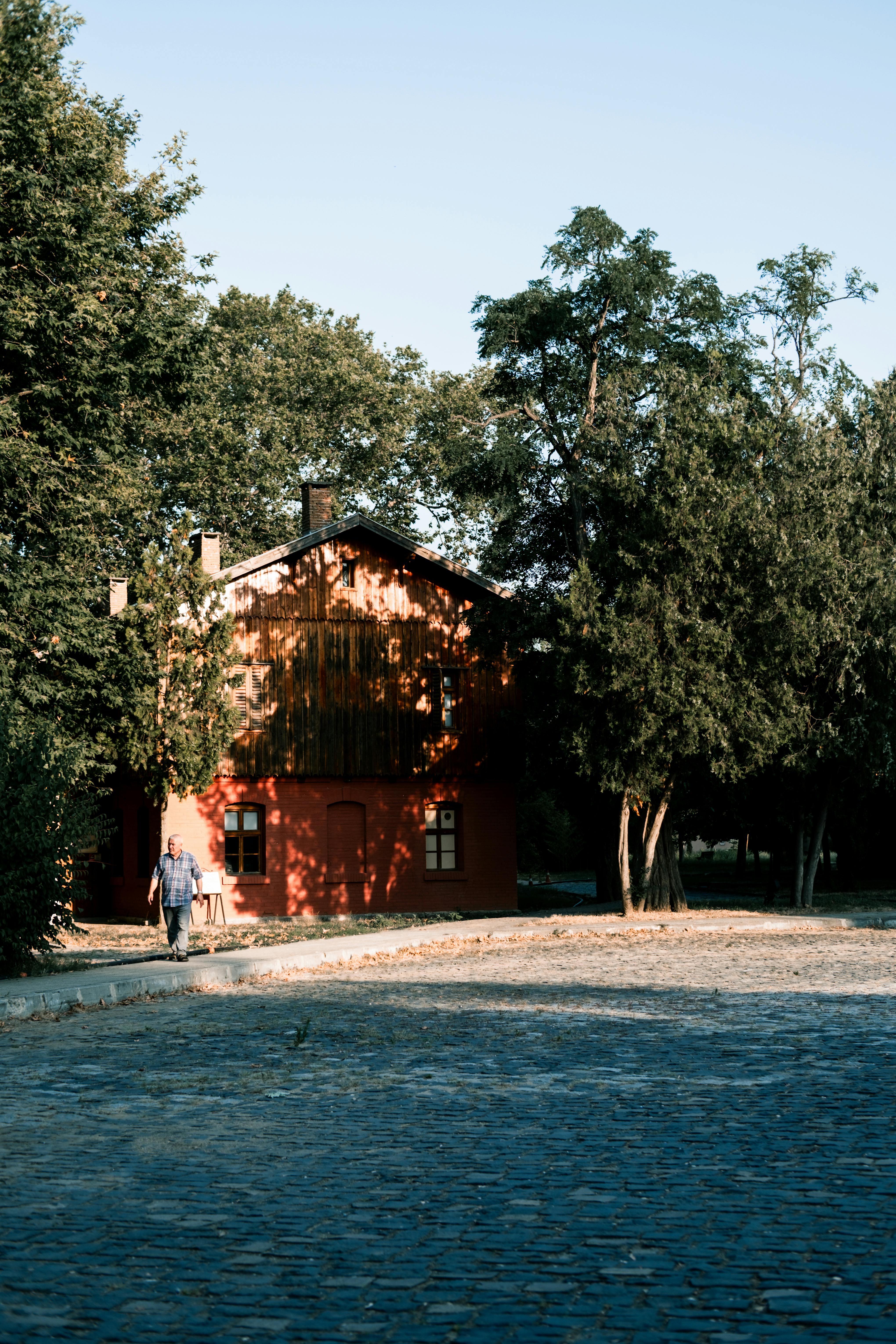 Green Trees Growing near House on City Paved Street · Free Stock Photo