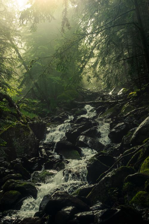 Free A serene waterfall flows through a misty forest with lush greenery and moss-covered rocks. Stock Photo