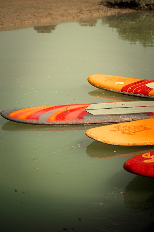A group of surfboards are lined up in the water