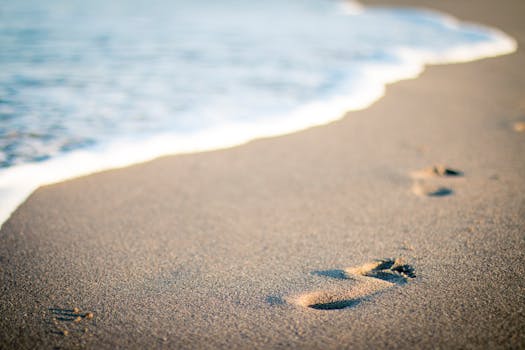 Free stock photo of sea, beach, vacation, sand