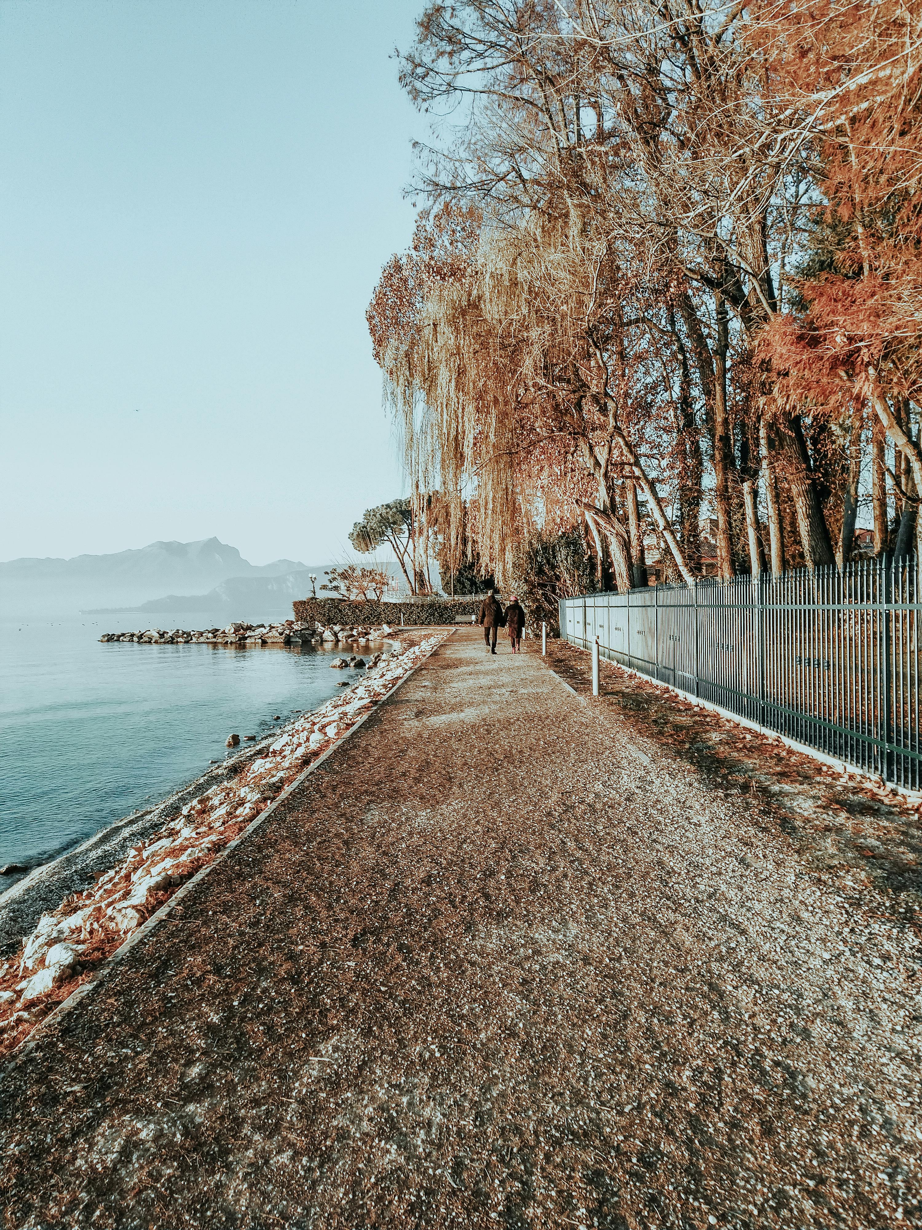 How tall can a fence between Neighbours be?