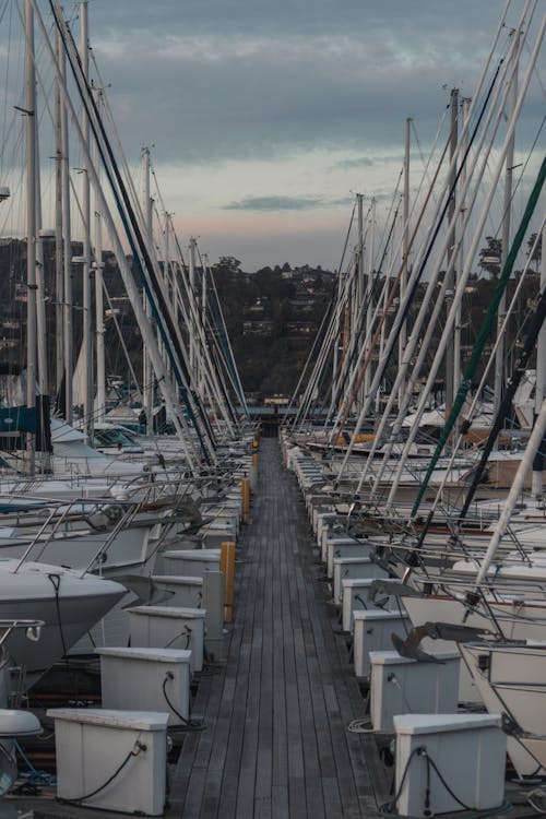 Yachts in Harbor on Sunset