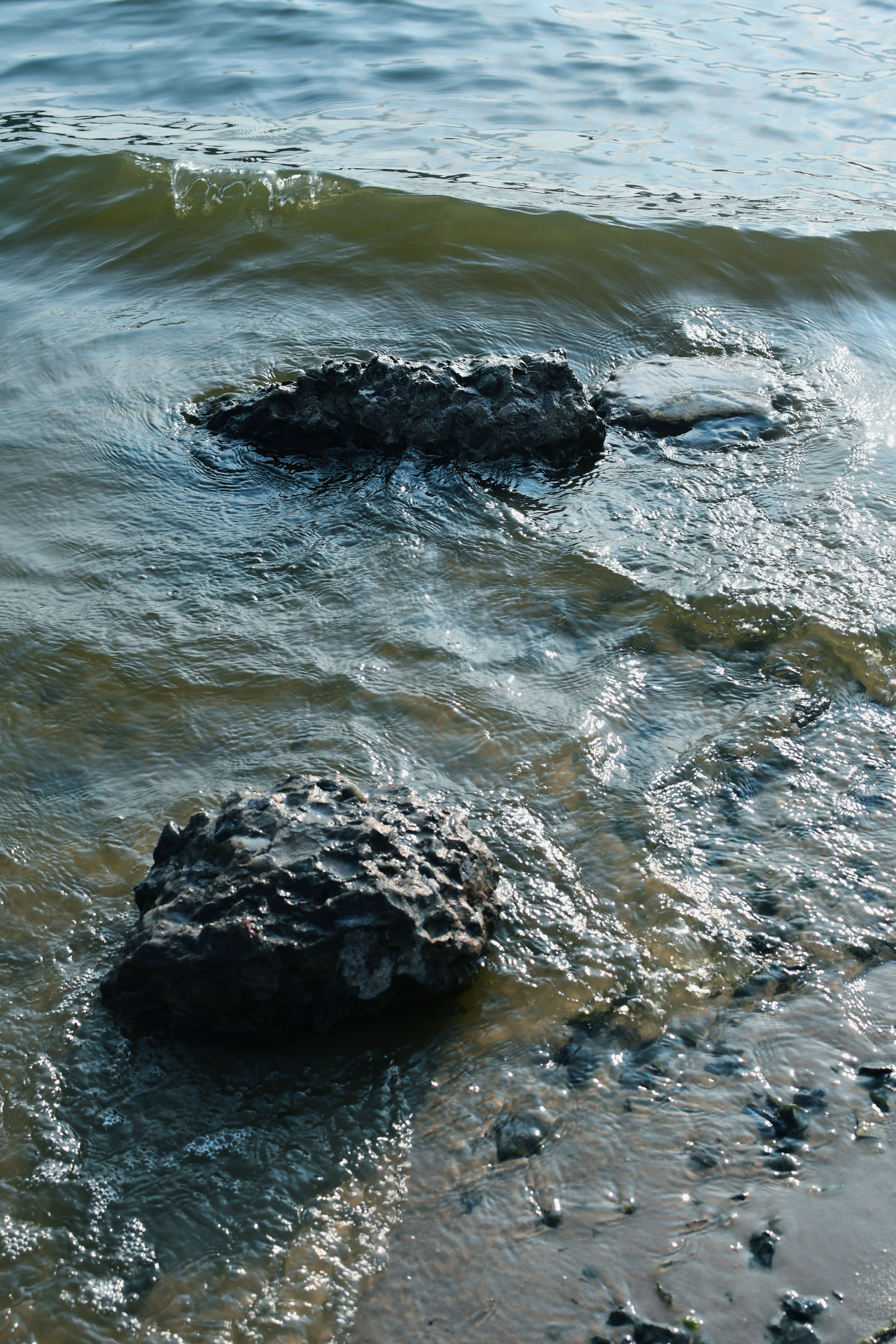 Rocks in the water at the beach · Free Stock Photo