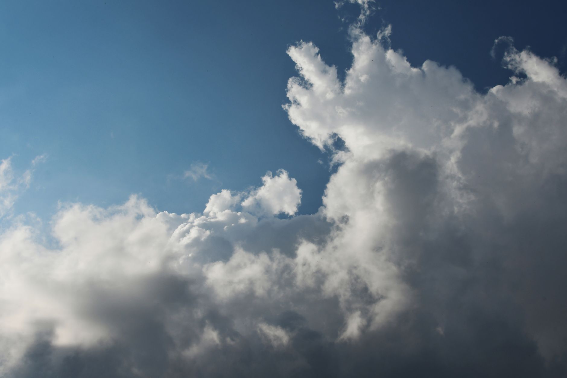 Cloud DLP Benchmark 2024: Data Loss Prevention for Cloud Storage and Applications