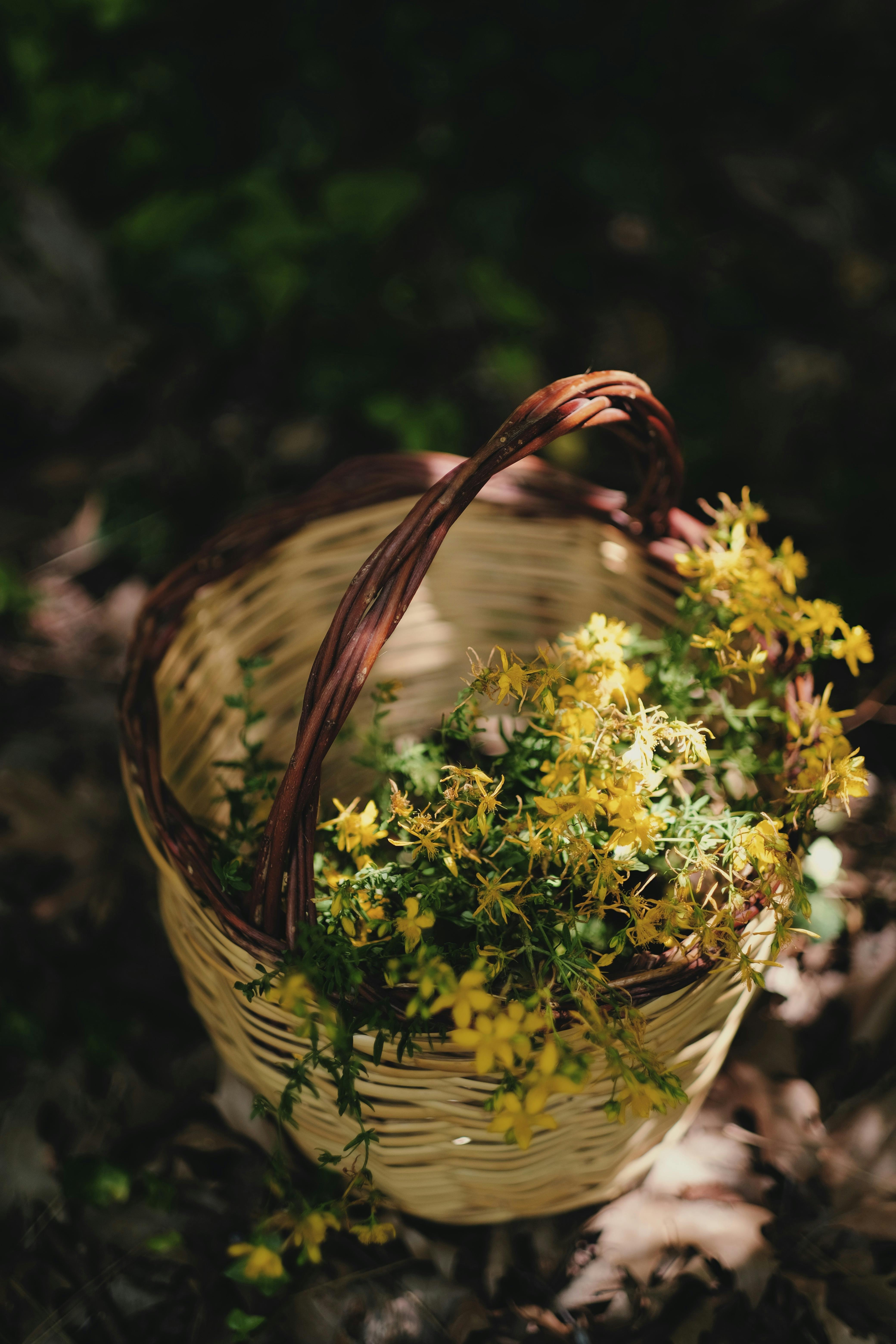 A woven basket filled with vibrant yellow wildflowers, placed in a sunlit forest setting.