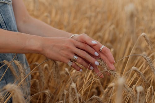 Бесплатное стоковое фото с женщина, зерно, кольца