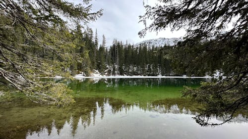 A lake surrounded by trees and snow covered ground