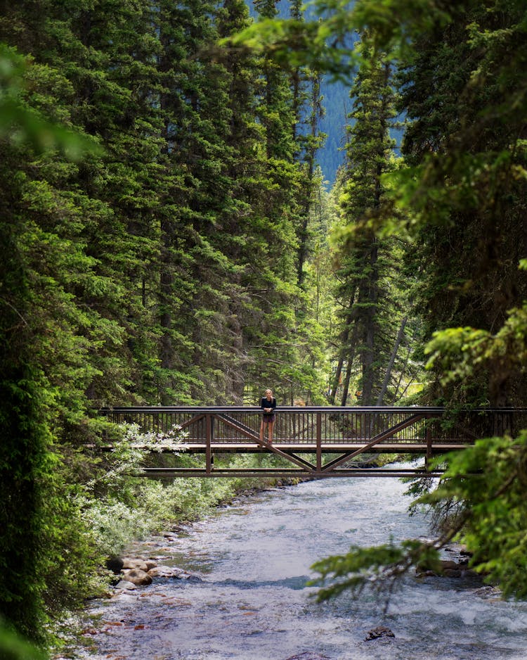 Johnston Canyon Bridge