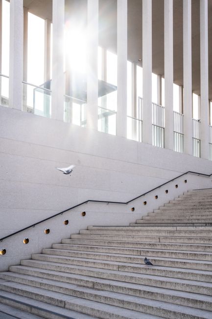 White stairs with pigeons in urban sunlight, modern architecture columns.