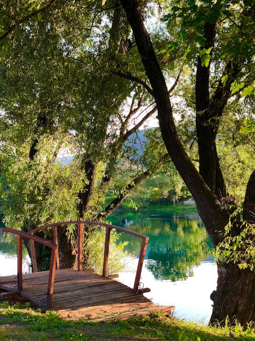 A wooden bridge over a lake with trees