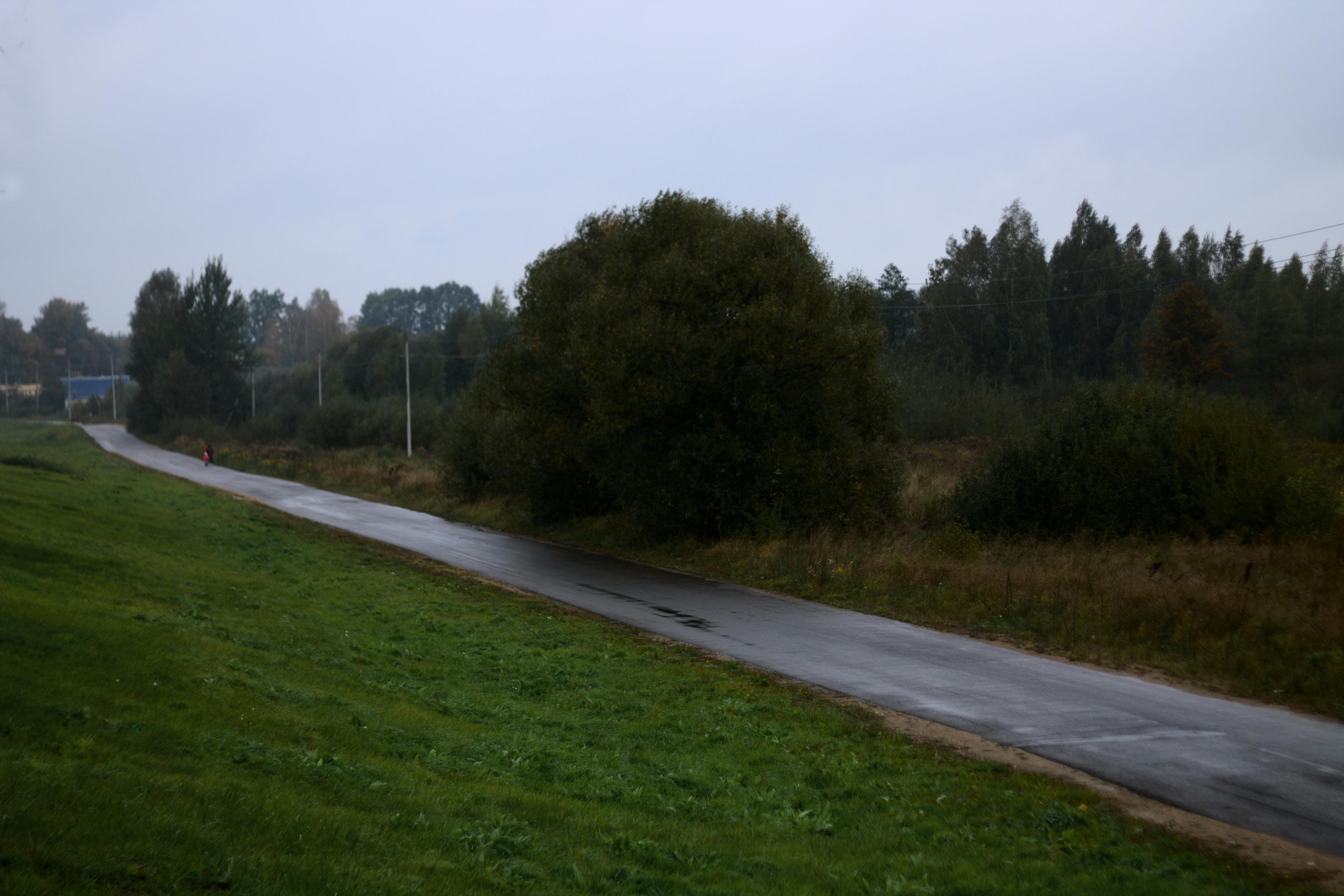 Free stock photo of autumn, rain, road