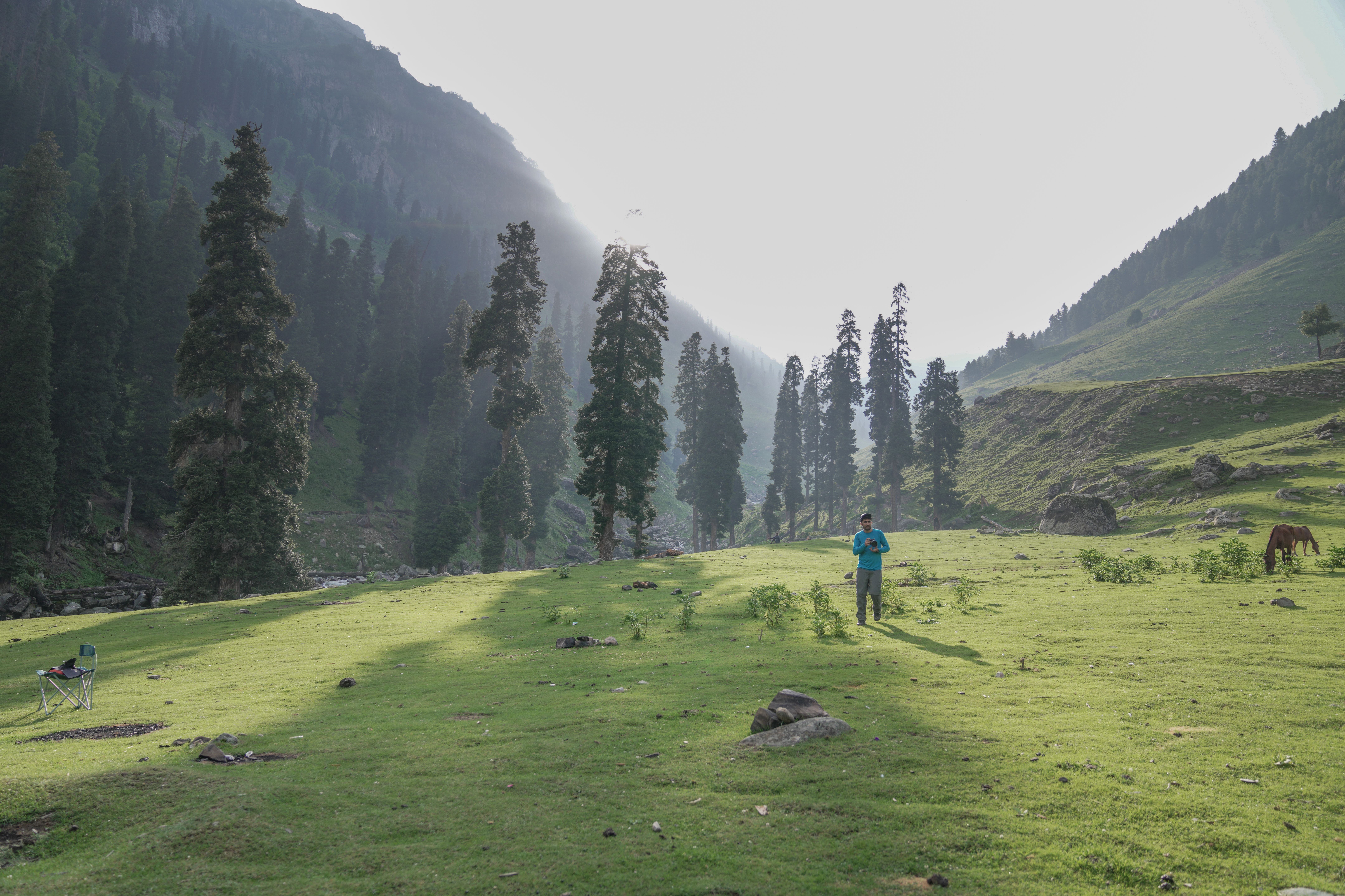Gulmarg Golf Course