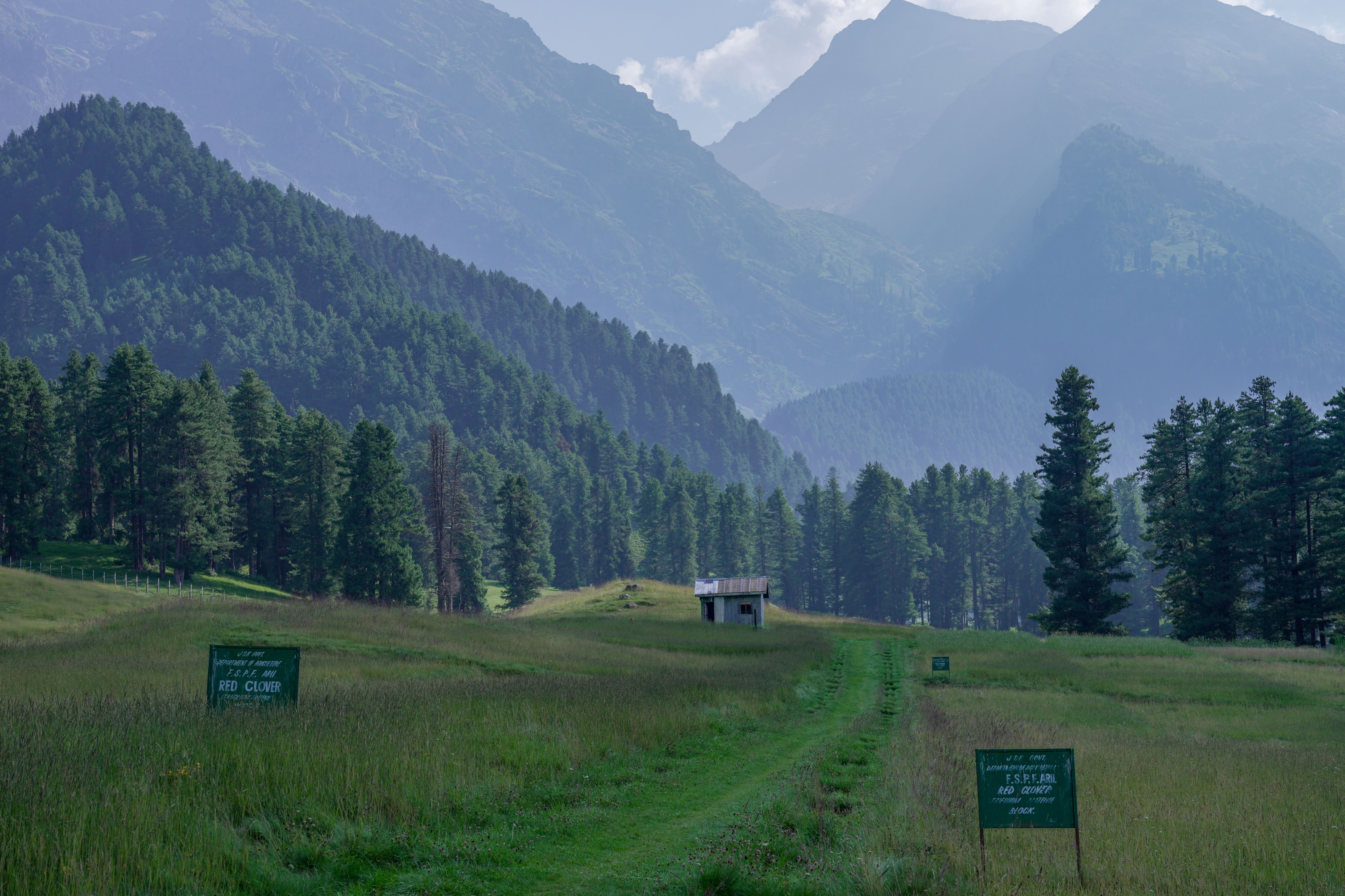 Fairy Meadows