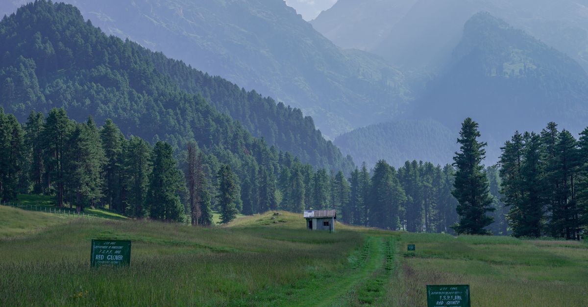 Fairy Meadows