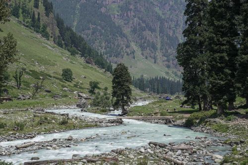 Free Beautiful valley with a flowing mountain stream surrounded by lush greenery. Stock Photo