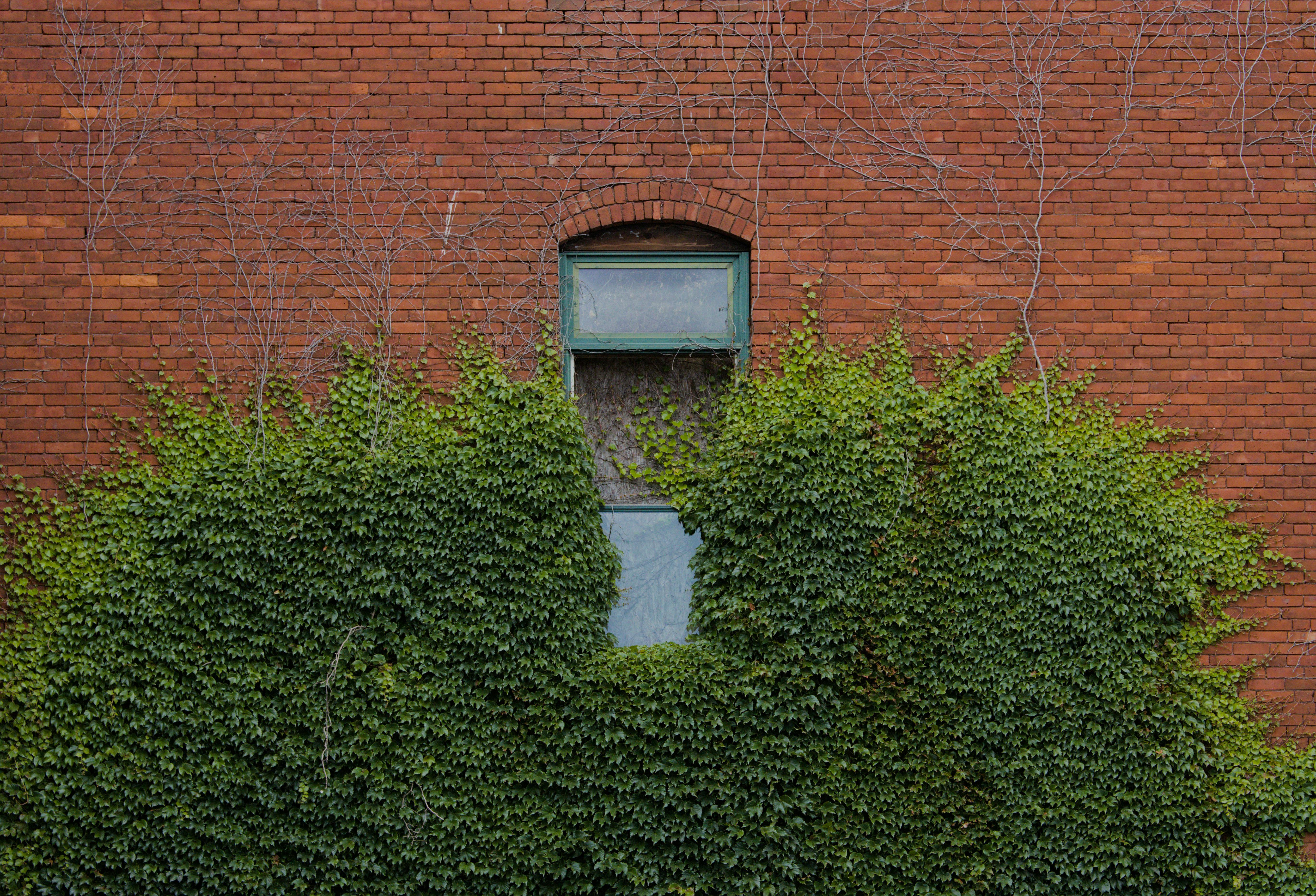 Kostnadsfria Kostnadsfri bild av @utomhus, arkitektur, årstid Stock foto