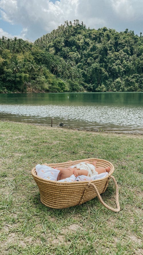 Basket with Baby on Lakeshore