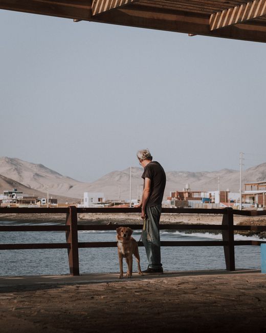 A man and his dog enjoy a peaceful afternoon walk on a pier by the bay, surrounded by a scenic landscape.
