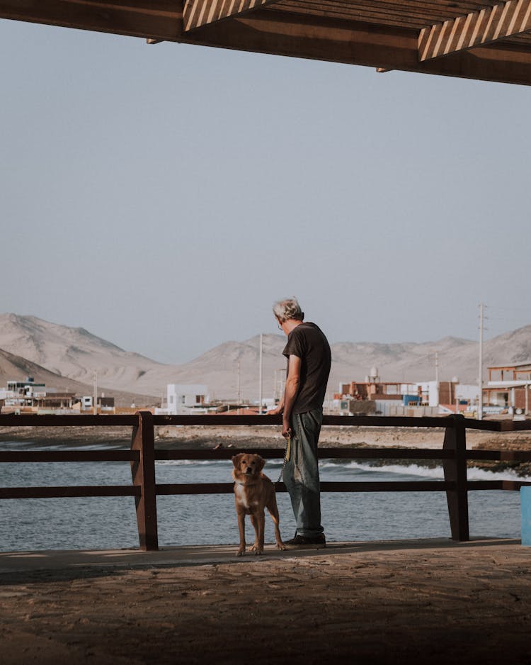 Man With A Dog On A Walk Along The Seashore