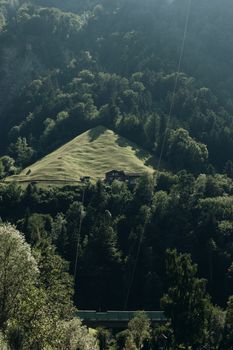 Sunlit forest and grassy hill near Zürich, Switzerland, showcasing natural beauty.