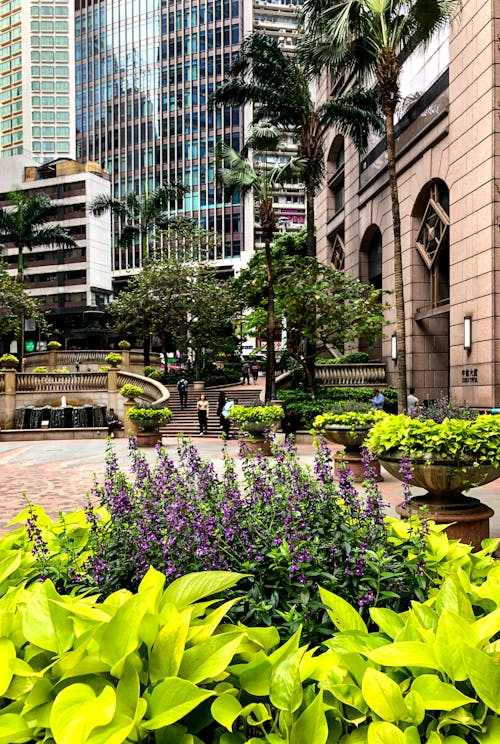 Безкоштовне стокове фото на тему «високі будівлі, відкритий простір, Гонконг»