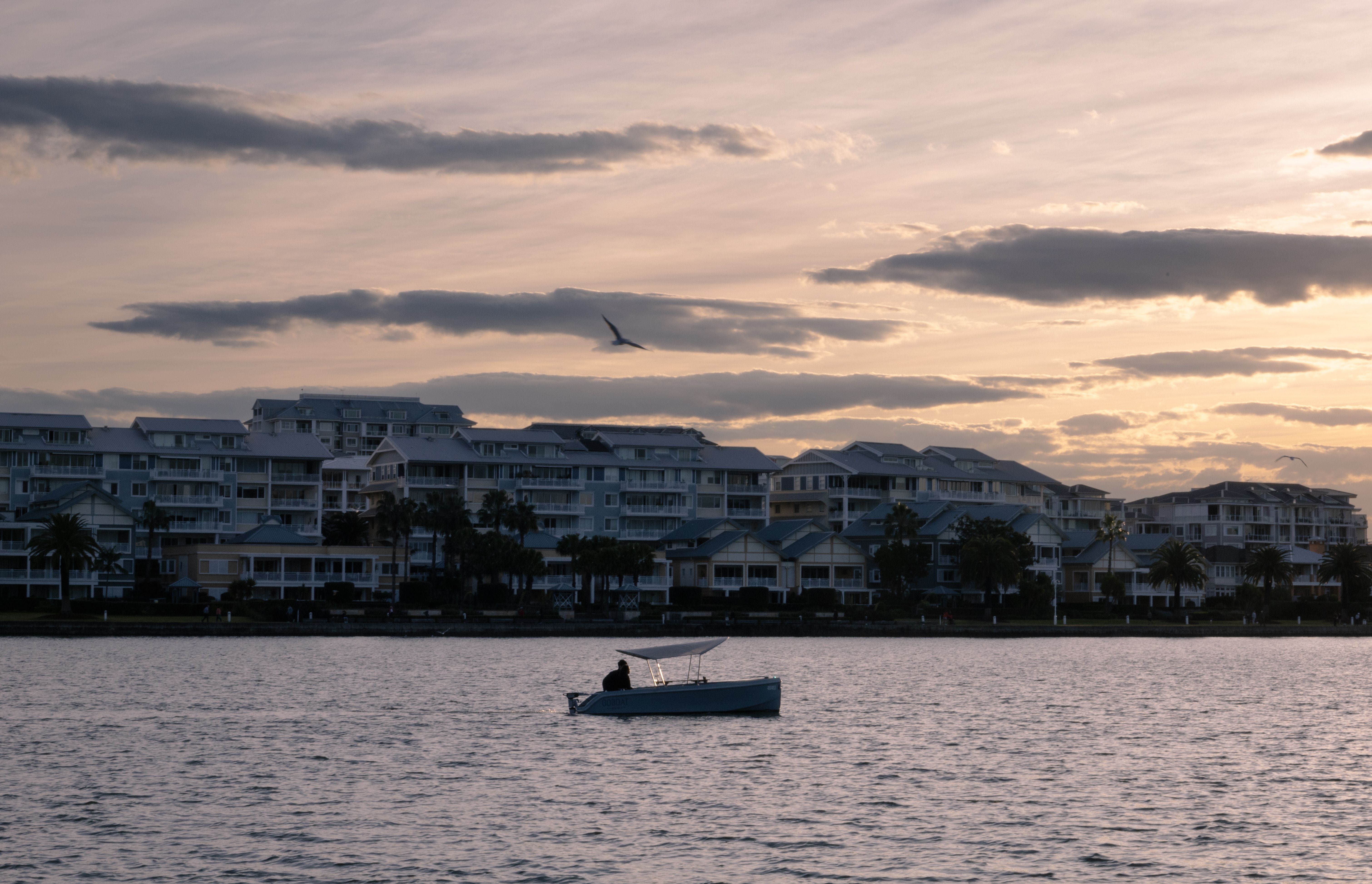 Shoalwater