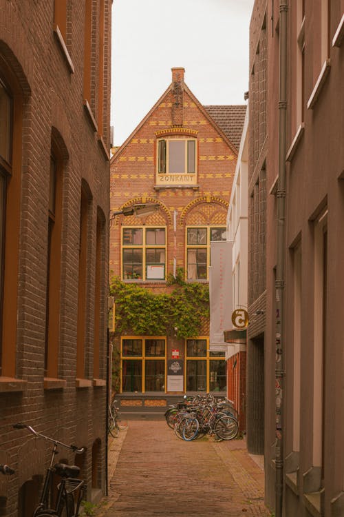 거리, 건물, 골목의 무료 스톡 사진
