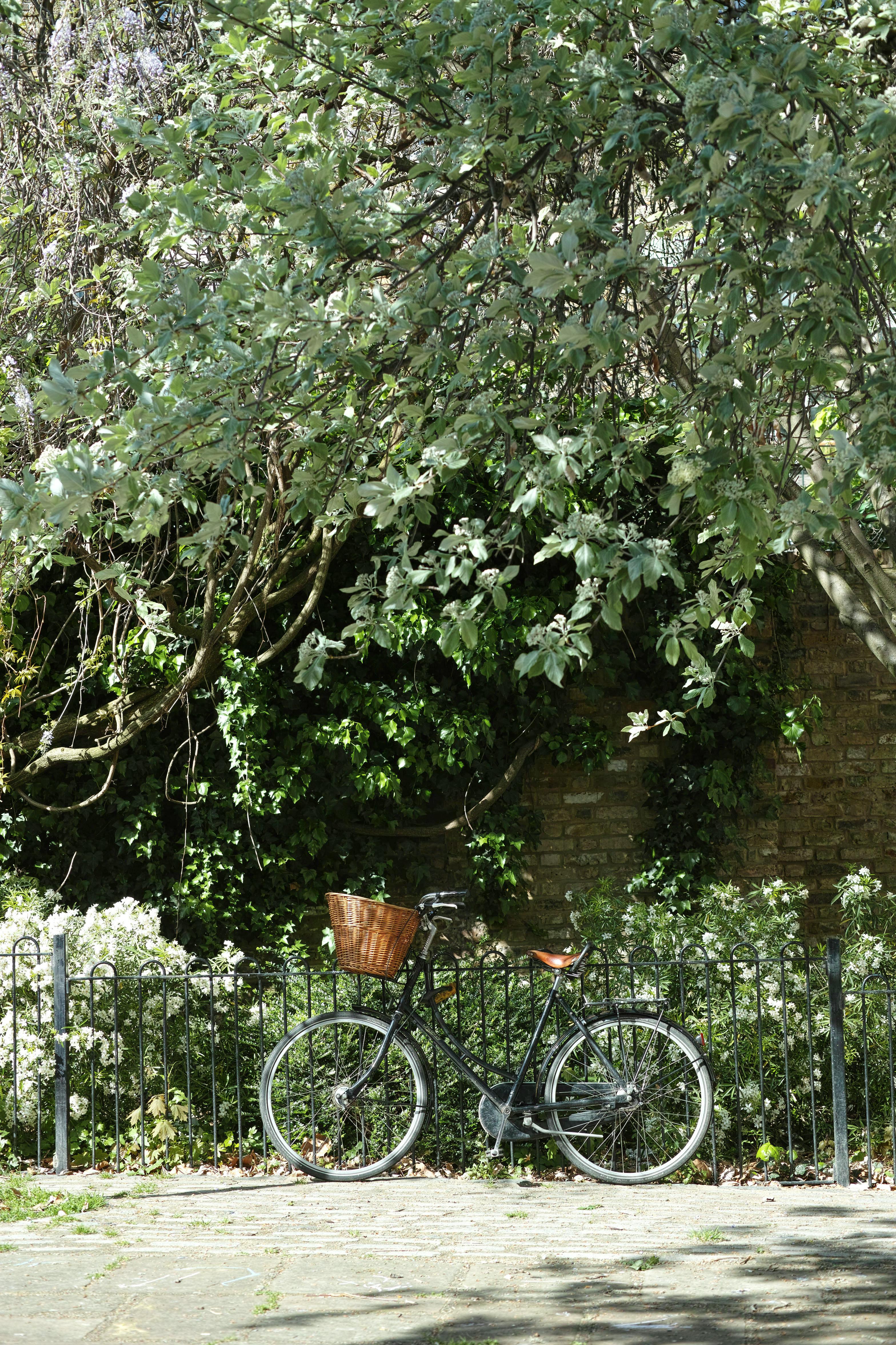 A vintage bicycle leaning against a fence amidst lush greenery and trees.