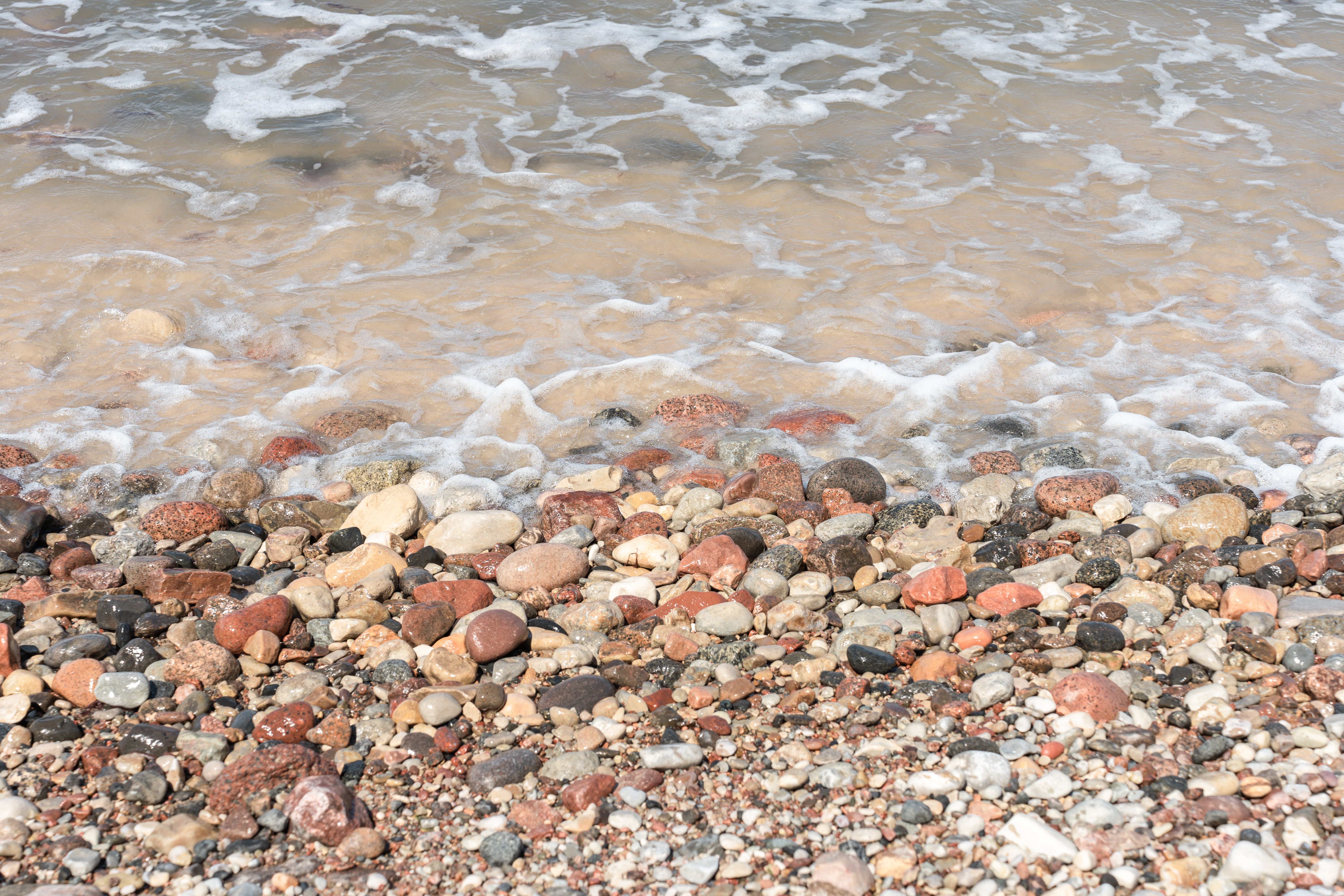 Raw Baltic amber shoreline where resin fossilized millions of years ago