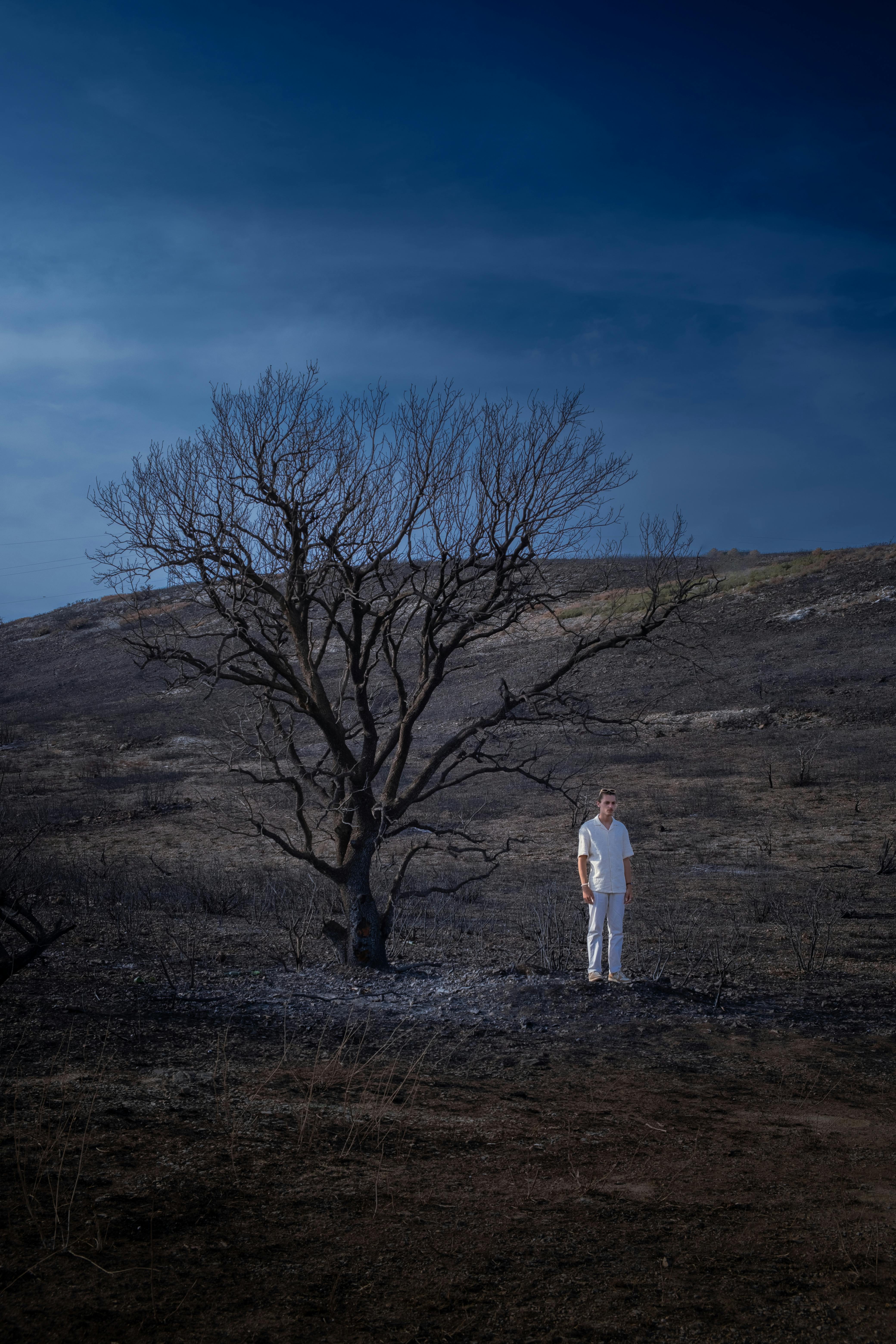 A solitary person in white stands near a barren tree in an arid landscape beneath a dramatic sky.