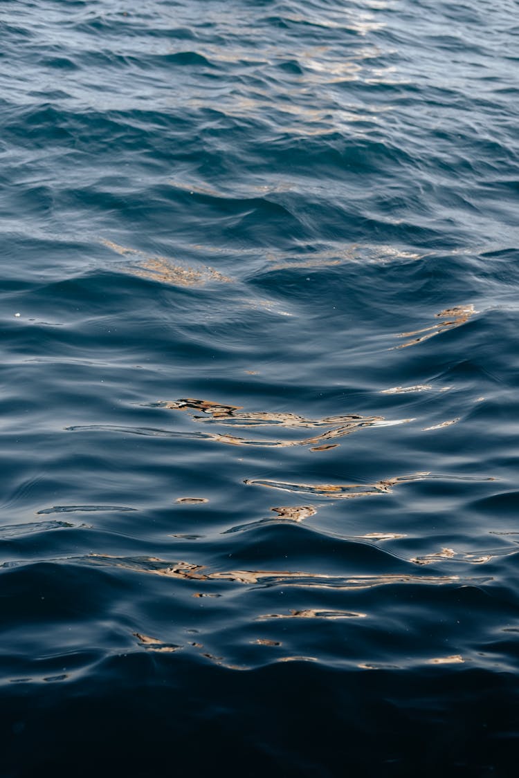 Wavy Water Surface